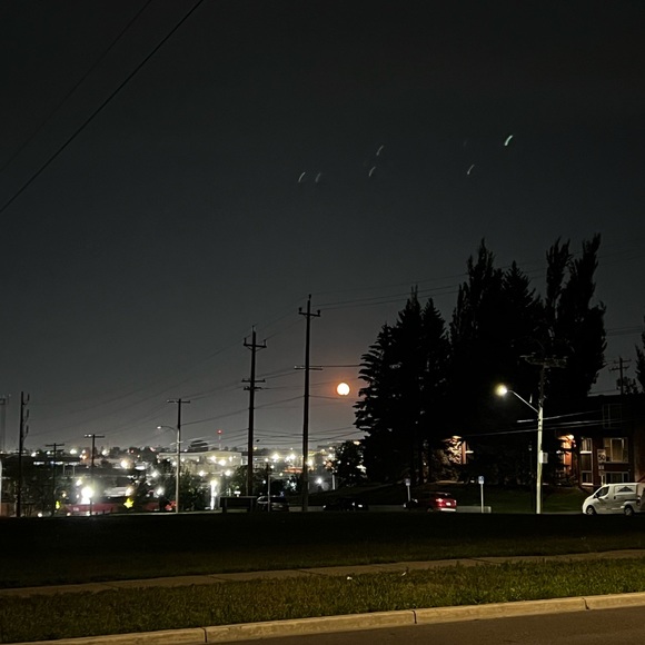 Meet your Posher, Zach - Picture 1 of 1